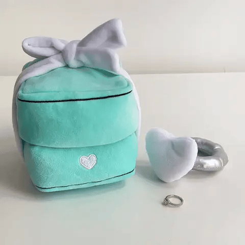 Plush Ring Set (with a red actual ring inside)